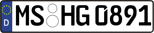 MS-HG0891