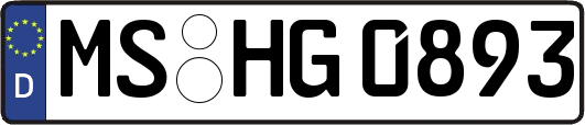MS-HG0893