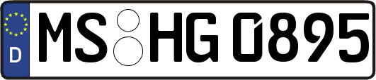 MS-HG0895