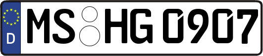 MS-HG0907
