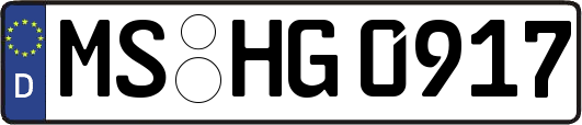 MS-HG0917