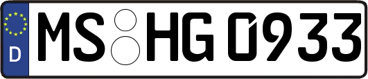 MS-HG0933