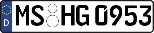 MS-HG0953