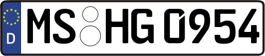 MS-HG0954