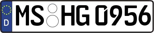 MS-HG0956