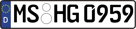 MS-HG0959