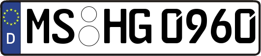 MS-HG0960