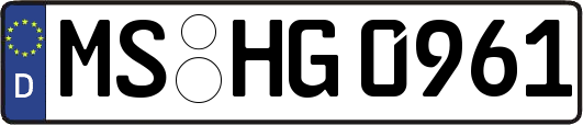 MS-HG0961