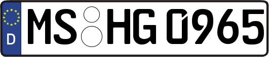 MS-HG0965