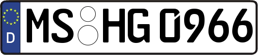 MS-HG0966