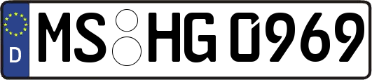 MS-HG0969