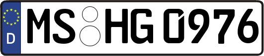 MS-HG0976