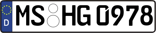 MS-HG0978