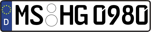 MS-HG0980