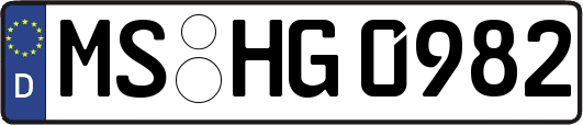 MS-HG0982