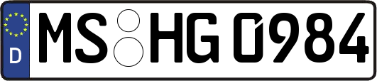 MS-HG0984