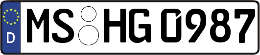 MS-HG0987