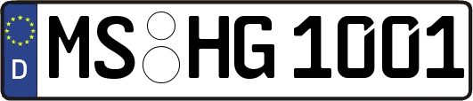 MS-HG1001