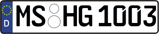 MS-HG1003