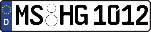 MS-HG1012