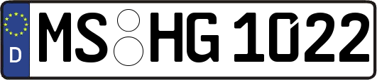 MS-HG1022
