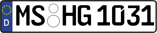 MS-HG1031
