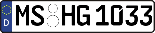 MS-HG1033