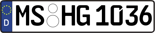 MS-HG1036