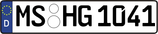 MS-HG1041