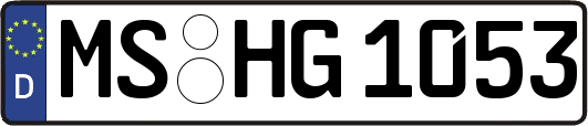 MS-HG1053