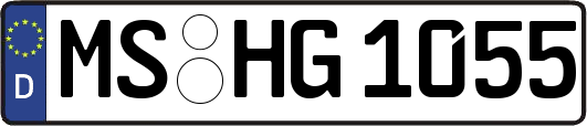 MS-HG1055