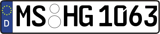 MS-HG1063