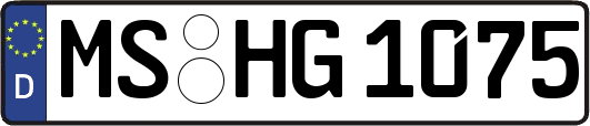 MS-HG1075