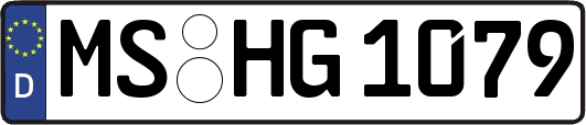 MS-HG1079