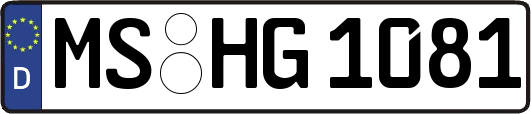 MS-HG1081