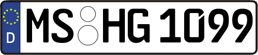 MS-HG1099