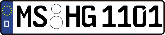 MS-HG1101