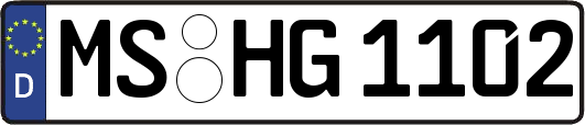 MS-HG1102