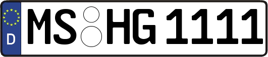 MS-HG1111