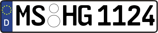 MS-HG1124