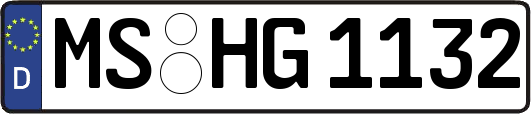MS-HG1132