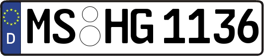 MS-HG1136