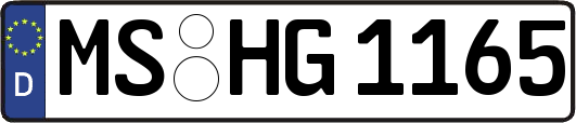 MS-HG1165