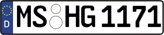 MS-HG1171