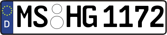 MS-HG1172