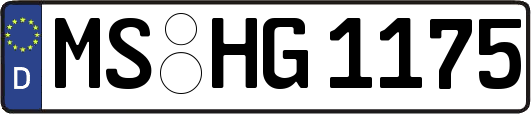 MS-HG1175