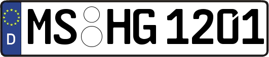 MS-HG1201