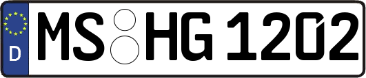 MS-HG1202