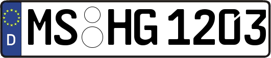 MS-HG1203