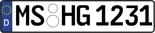 MS-HG1231